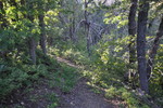 photo thumbnail #6