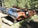 photo thumbnail #2