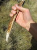 photo thumbnail #12