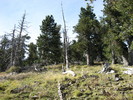 photo thumbnail #13