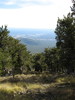 photo thumbnail #15