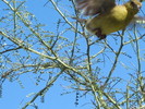 photo thumbnail #3