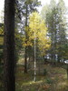 photo thumbnail #3