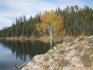 photo thumbnail #5