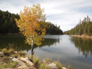 photo thumbnail #7