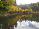 photo thumbnail #8