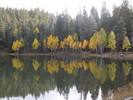 photo thumbnail #10