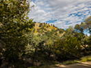 photo thumbnail #2