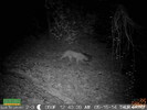 2014-03-20 :2: Pine Mountain 4x4 Loop :: ASUAviator