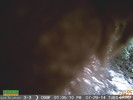 photo thumbnail #13