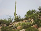 photo thumbnail #12