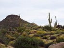 photo thumbnail #14
