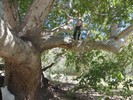photo thumbnail #8