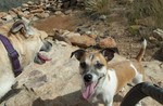 photo thumbnail #7