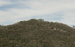 photo thumbnail #8