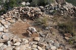 photo thumbnail #9