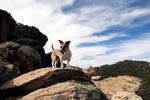 photo thumbnail #12