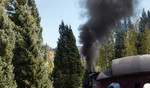 photo thumbnail #13