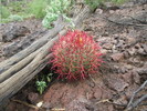 photo thumbnail #3