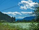 photo thumbnail #12