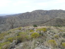 photo thumbnail #8