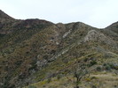 photo thumbnail #11