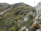 photo thumbnail #14