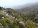 photo thumbnail #15