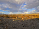 photo thumbnail #13