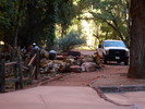 photo thumbnail #2