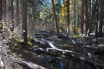 photo thumbnail #10