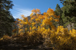 photo thumbnail #12