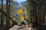photo thumbnail #13