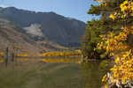 photo thumbnail #14