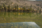photo thumbnail #15