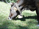 photo thumbnail #12