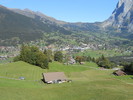 photo thumbnail #13