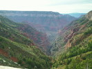 photo thumbnail #10
