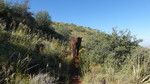 photo thumbnail #2