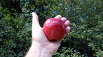 photo thumbnail #4
