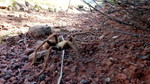photo thumbnail #10