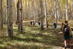 photo thumbnail #5