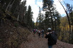 photo thumbnail #9