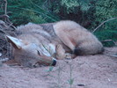 photo thumbnail #2