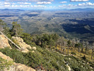photo thumbnail #11