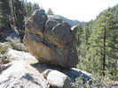photo thumbnail #3