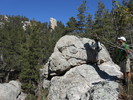 photo thumbnail #8