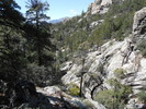 photo thumbnail #9