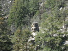 photo thumbnail #10