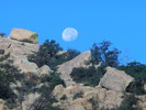 photo thumbnail #5